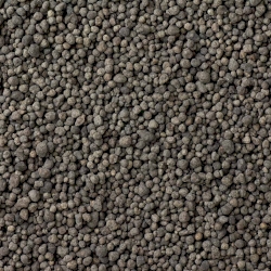 EC21